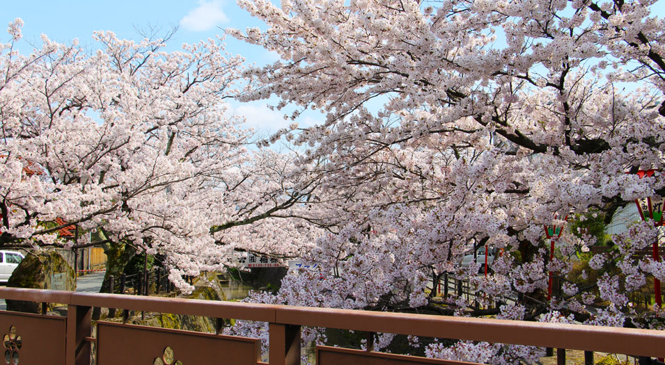 加賀藩の支藩、城下町の面影残す～大聖寺を訪ねて～