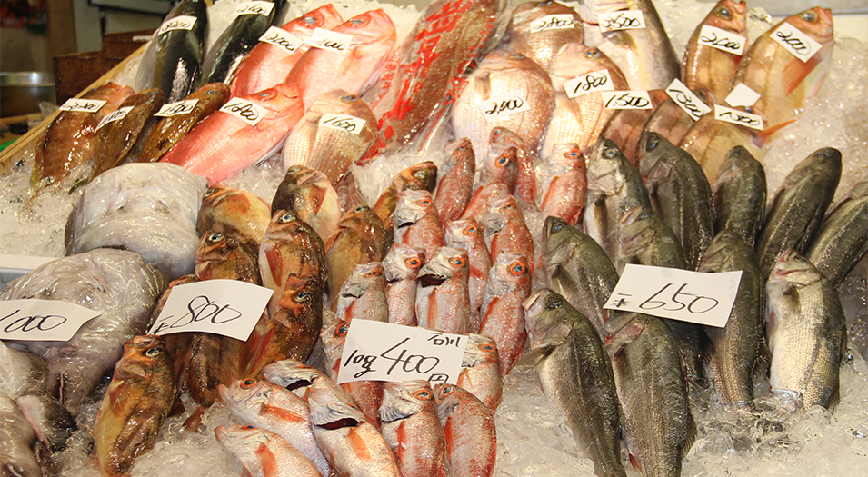 日本海で水揚げされるピチピチ魚介～金沢の鮮魚～
