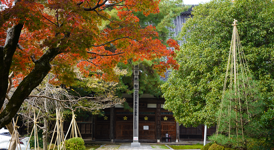 戦国の世、城下町金沢を守ってきた3つの寺院群